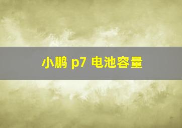 小鹏 p7 电池容量